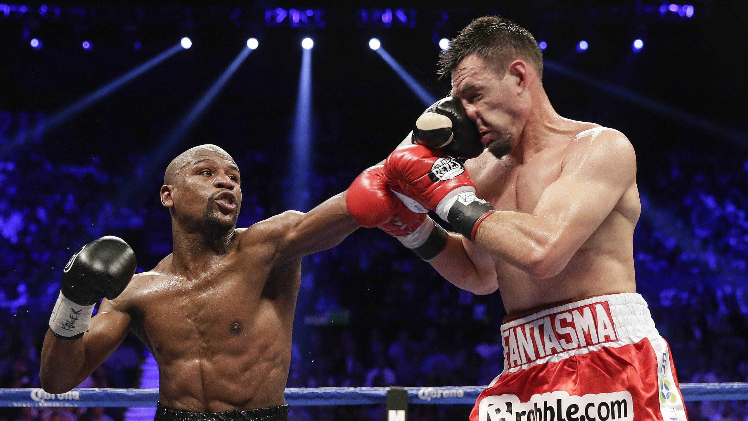 体育赛事观众满意度分析