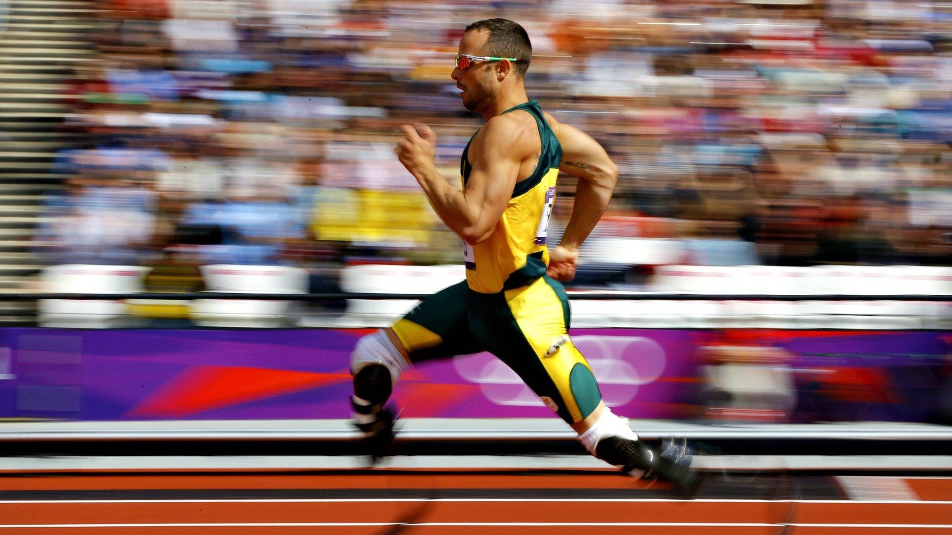 全球体育市场趋势分析